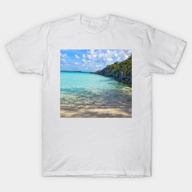 Caribbean Blue T-Shirt by davidbstudios